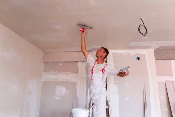 Best Custom Drywall Patching  in USA